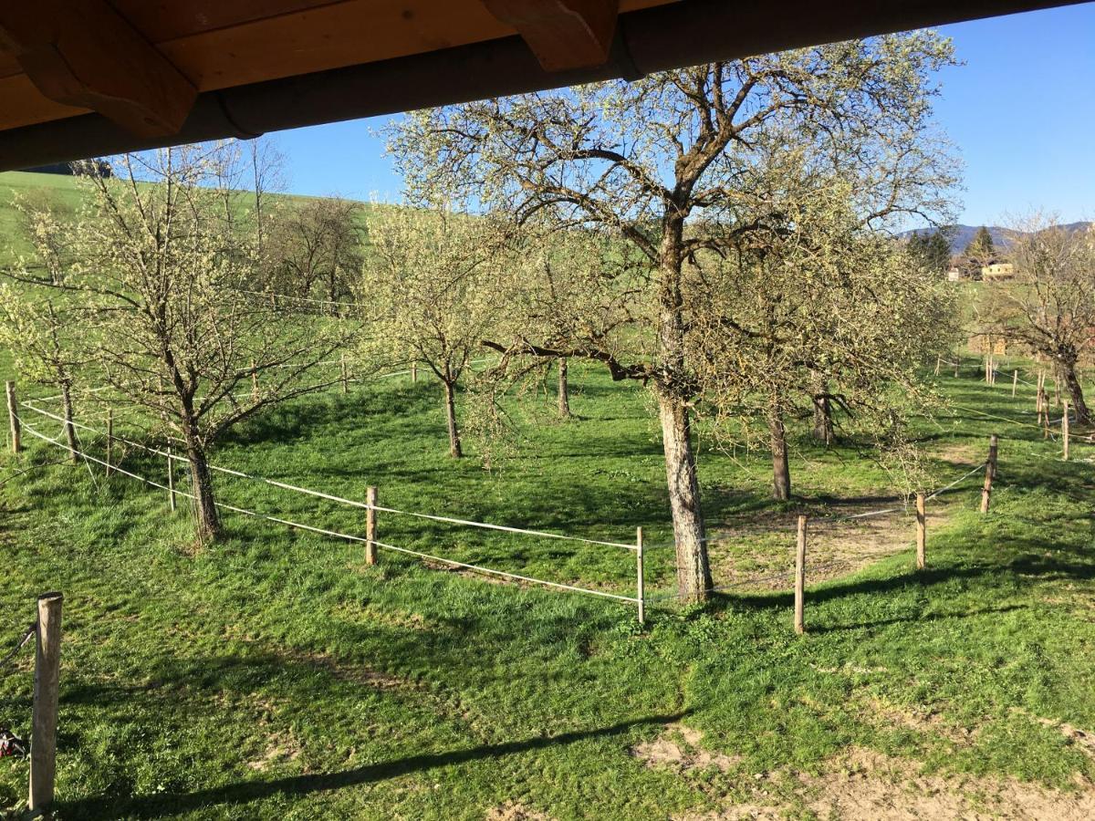 Luxusappartement Zell am Moos Buitenkant foto